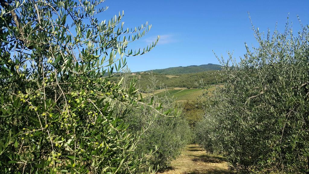 Holiday House Le Selvole Radda in Chianti Exterior foto