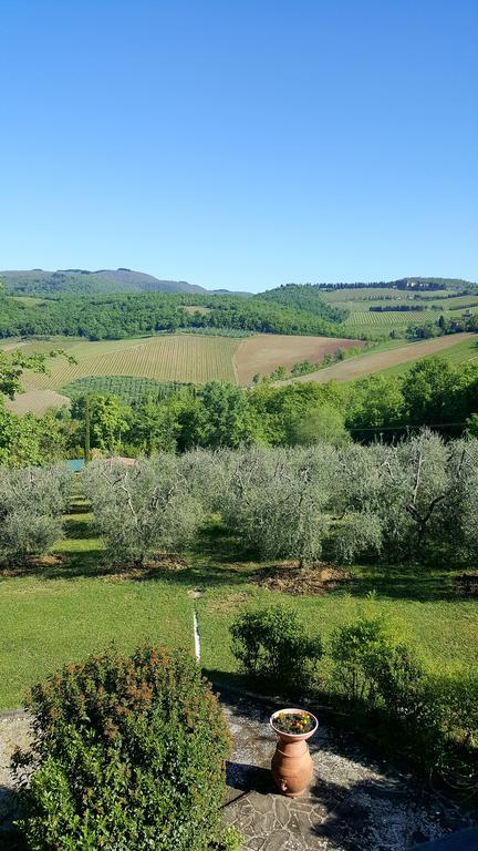 Holiday House Le Selvole Radda in Chianti Exterior foto