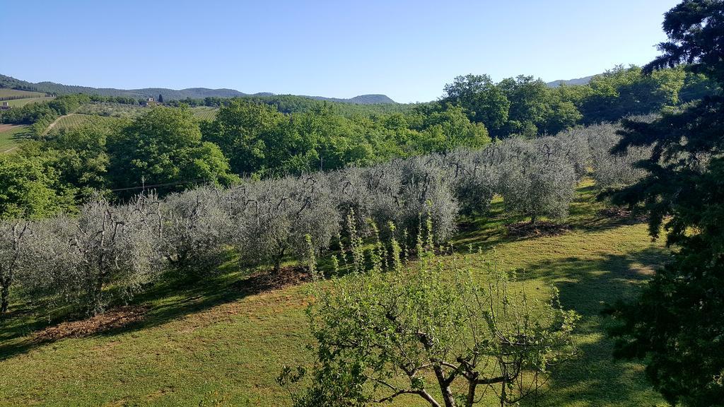 Holiday House Le Selvole Radda in Chianti Exterior foto